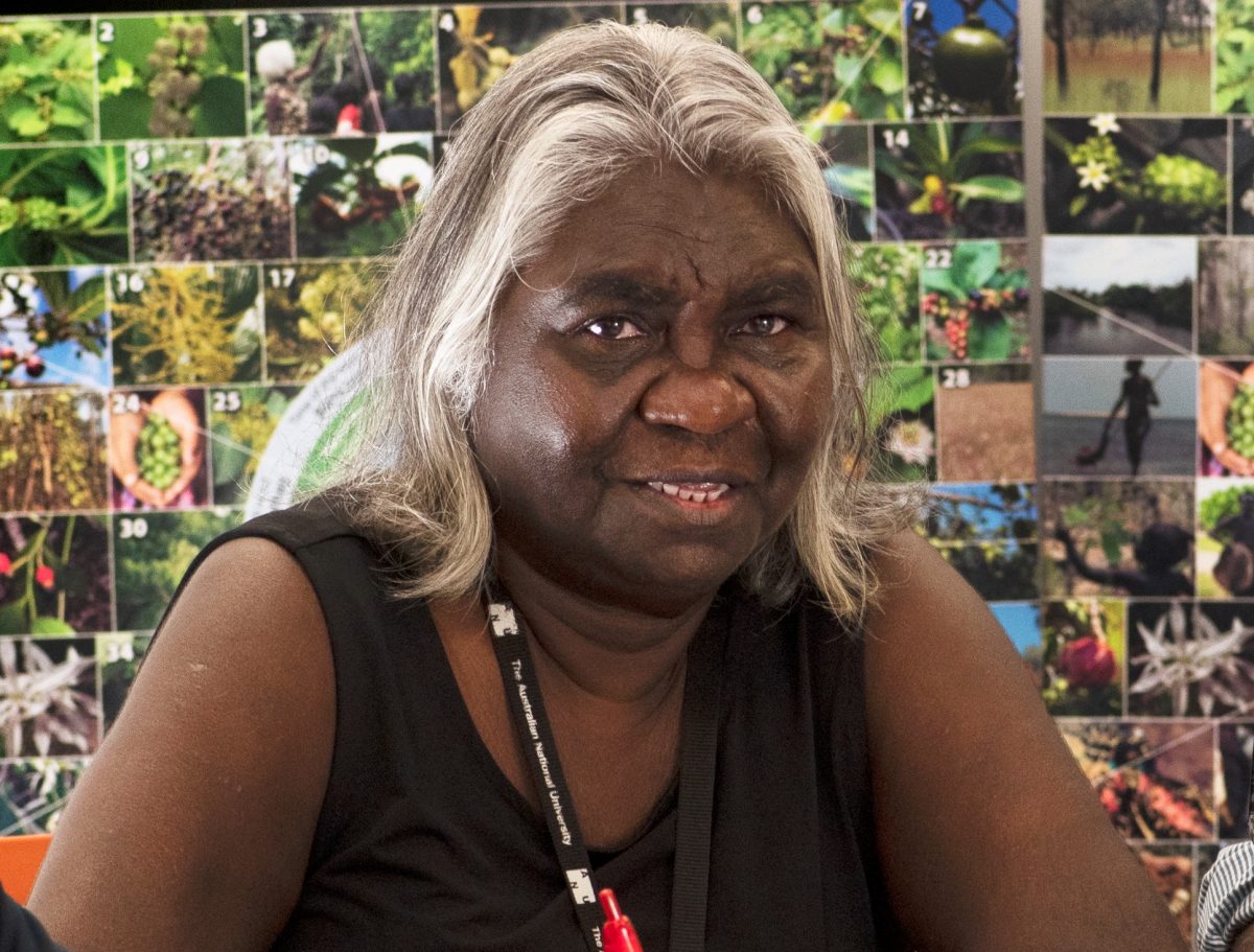 Researchers – Indigenous Researchers Initiative